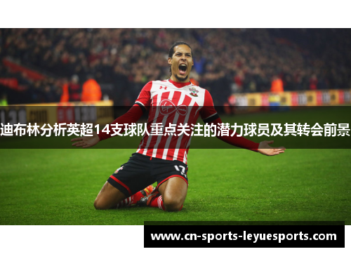 迪布林分析英超14支球队重点关注的潜力球员及其转会前景
