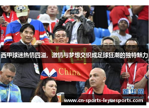 西甲球迷热情四溢，激情与梦想交织成足球狂潮的独特魅力