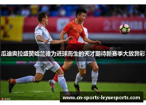 瓜迪奥拉盛赞哈兰德为进球而生的天才期待新赛季大放异彩